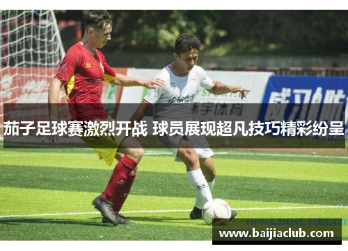 茄子足球赛激烈开战 球员展现超凡技巧精彩纷呈