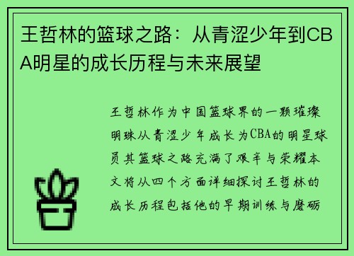 王哲林的篮球之路：从青涩少年到CBA明星的成长历程与未来展望